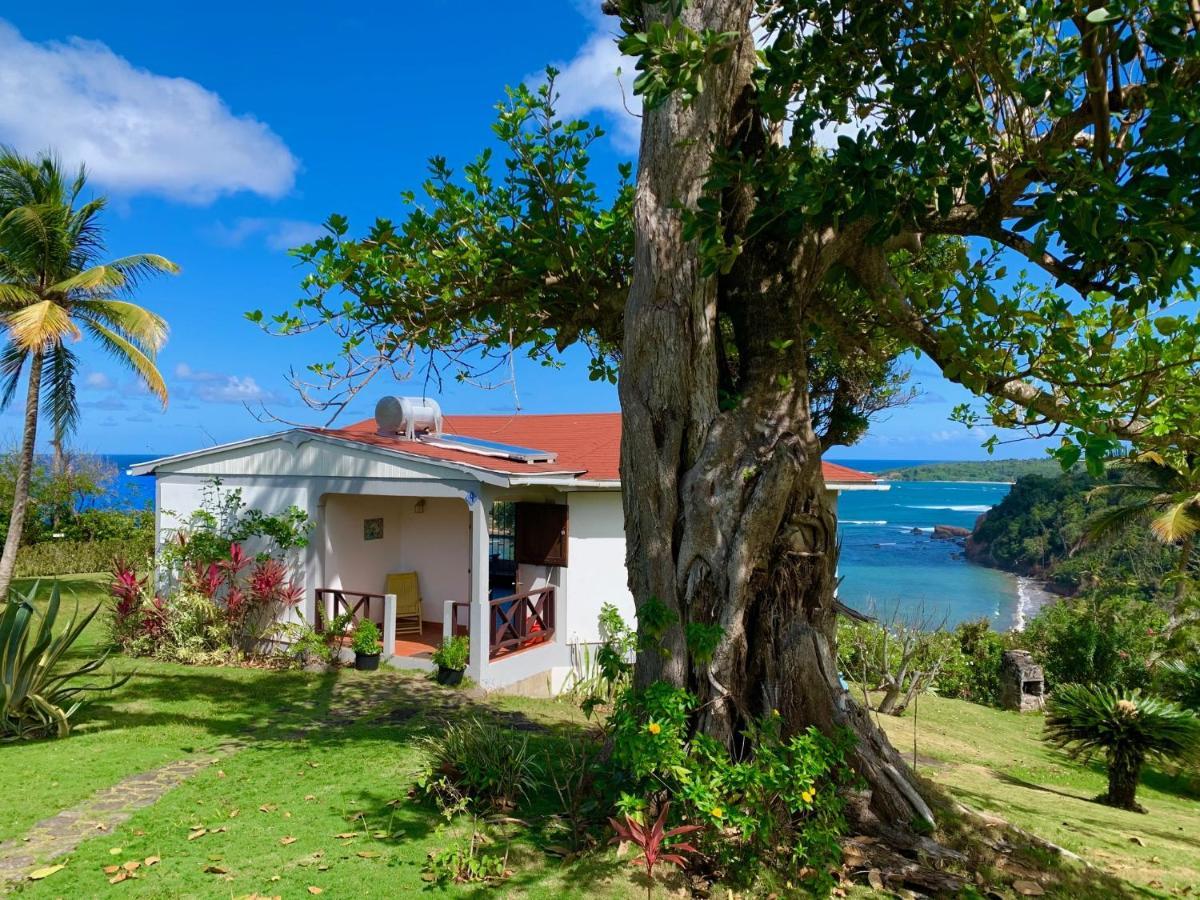 Sea Cliff Eco-Cottages & Gin Distillery Calibishie Exterior photo